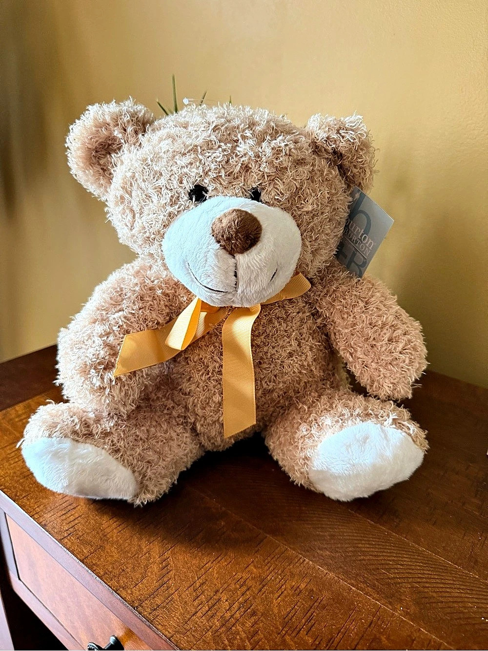 burton + BURTON Brown Teddy Bear Plush Stuffed Animal